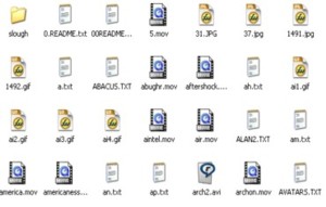 DVD contents image